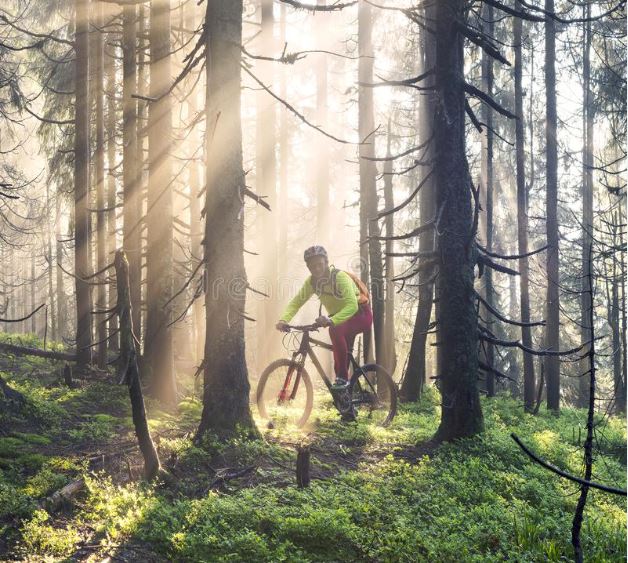 Two Hour – Guided Mountain Bike – Level One - Puslinch Twin Ponds