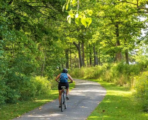 Two Hour - Guided Rail Trail Ride - Level 1 - Glen Morris to Paris